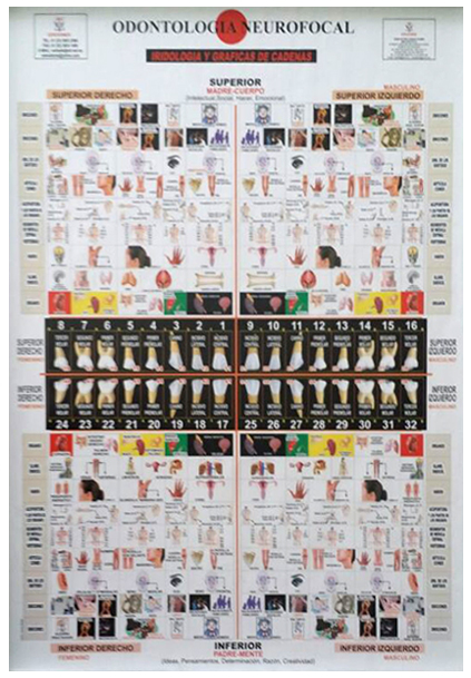 Odontología Neuro-focal